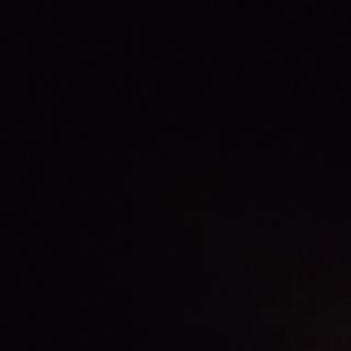 Potro Caballero Dussauge