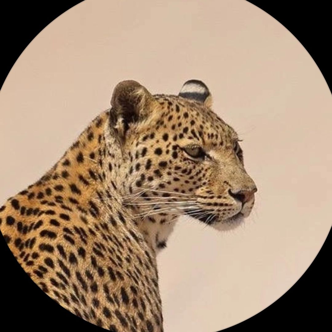 هند الدوسريي|لمحة🐆