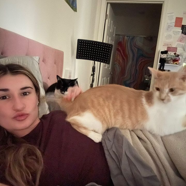 Maceys kitties <3