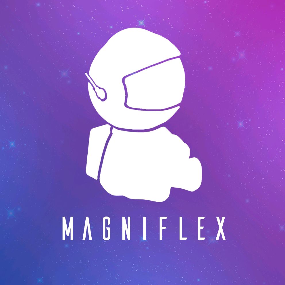 MagniFlex🌌