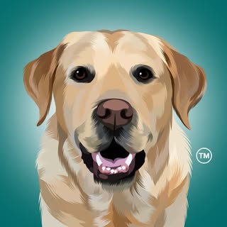 Magnus The Therapy Dog