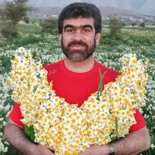 مهدی شهیدو