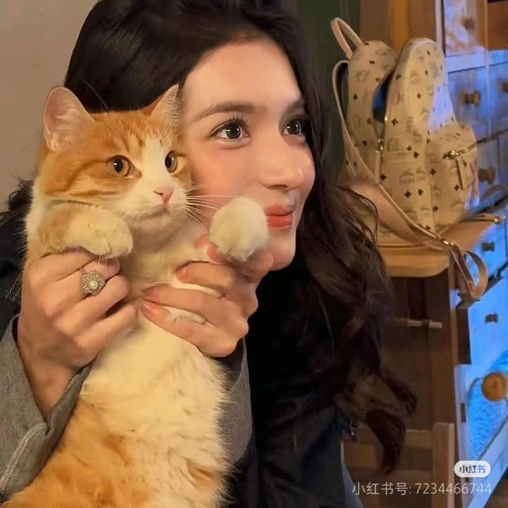 Cutepets