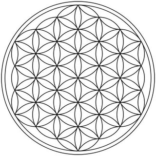 M A N T R A S   D E   L U Z