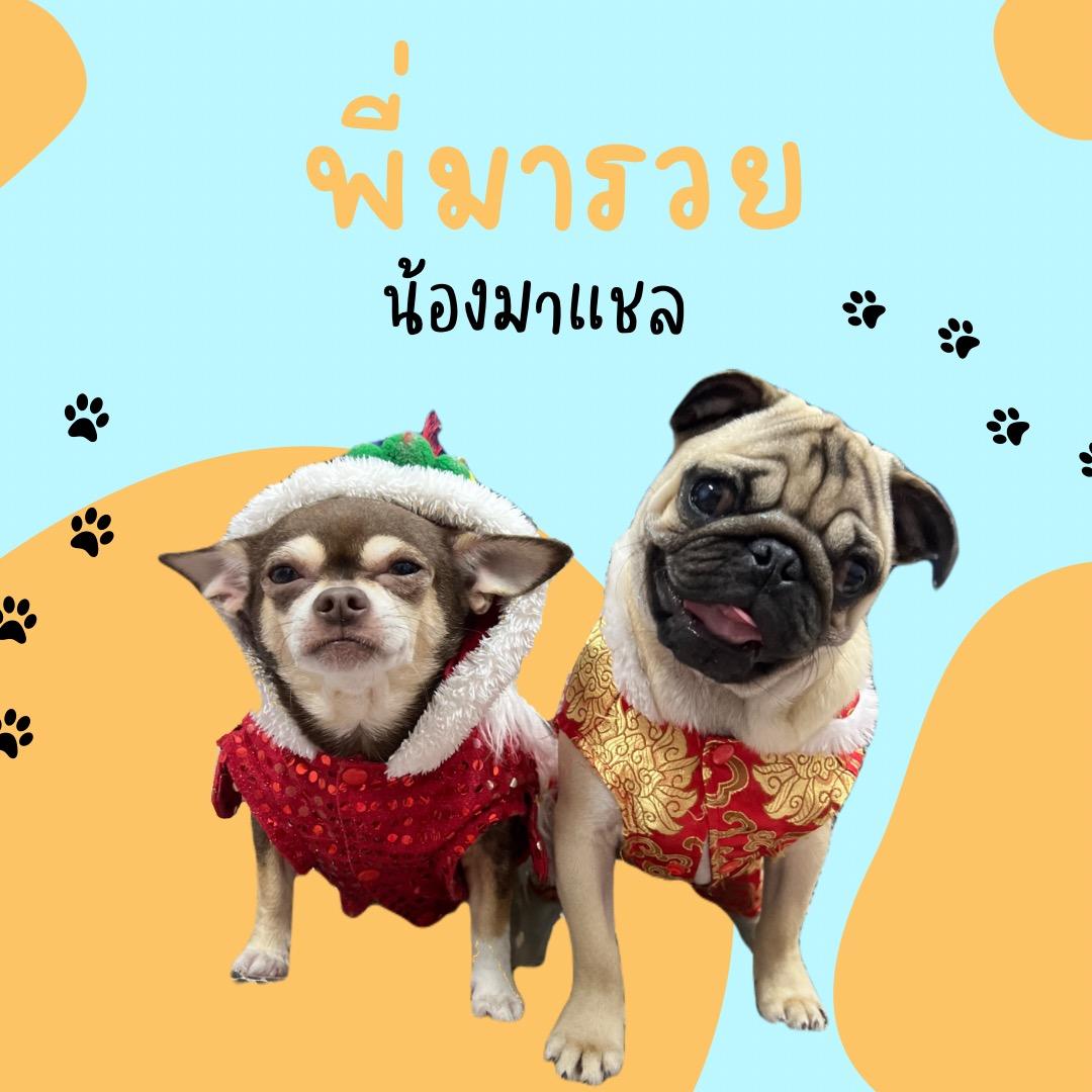 น้องมารวย & น้องมาแชล