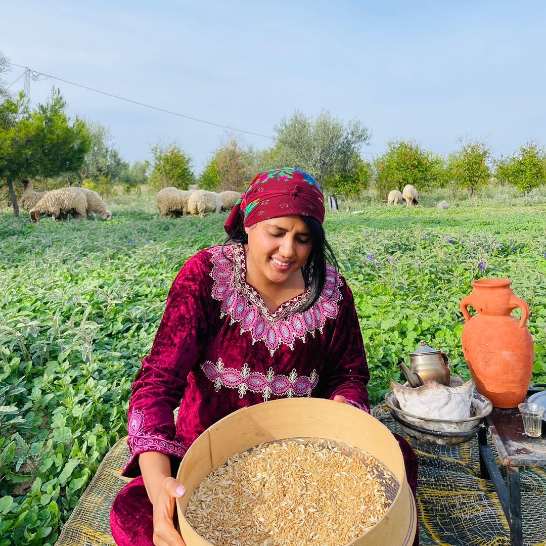 🌾🇹🇳مروى الفلاحة 🌾🇹🇳