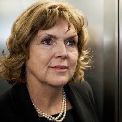 Mary Lawlor UN Special Rapporteur HRDs
