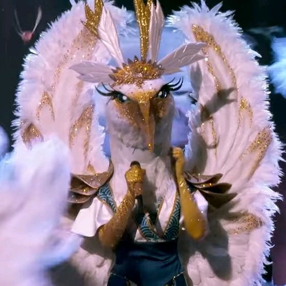 maskedsingerfan