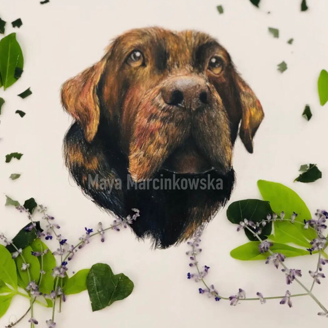 🌻teenage artist🌻