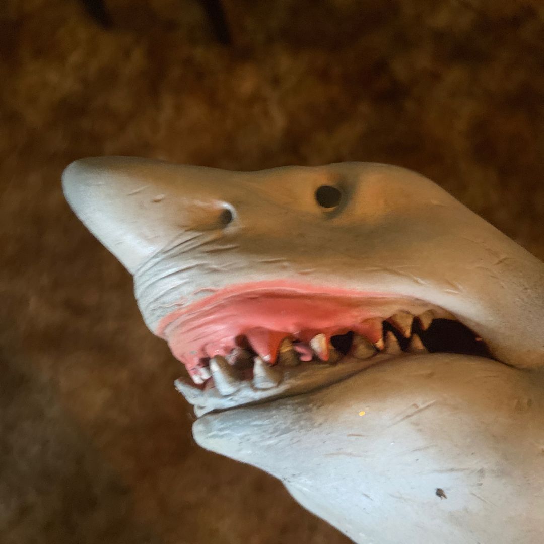 Shark puppet