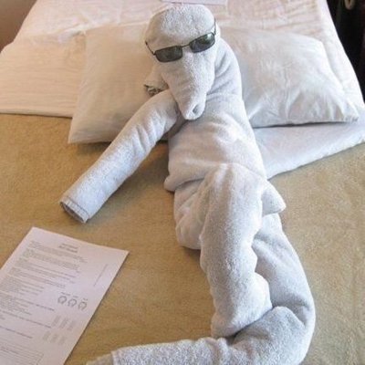 Epstein's Sheet. 🧻