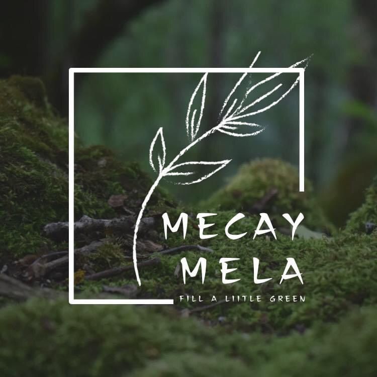 Mecaymela