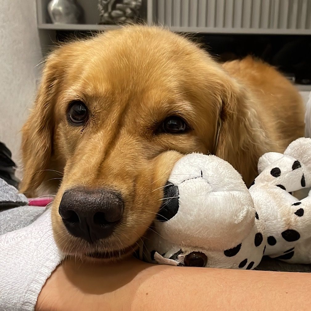 Meg__golden
