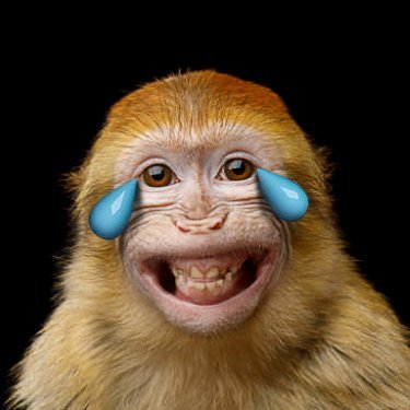 mescojono