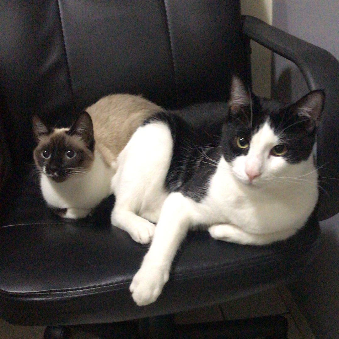 Ricky&Galadriel