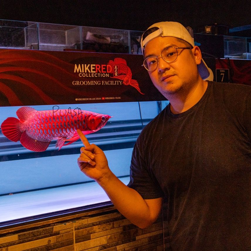 Michael | Mike Red Collection