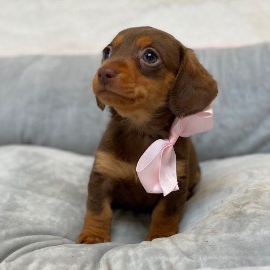 Minnie