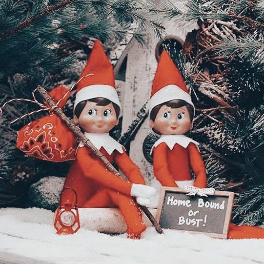🎄𝘾𝙝𝙖𝙧𝙡𝙞𝙚&𝙃𝙤𝙡𝙡𝙮🎄