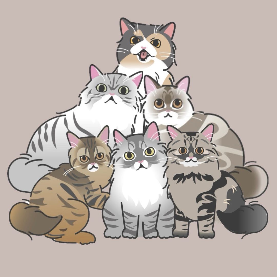 Cimiwthecat