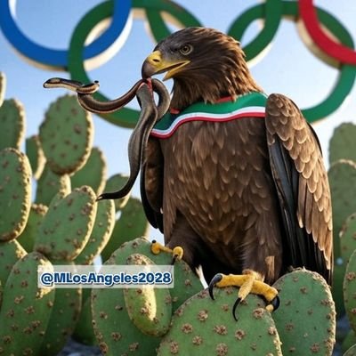 Fan México 🇲🇽 rumbo a LA2028