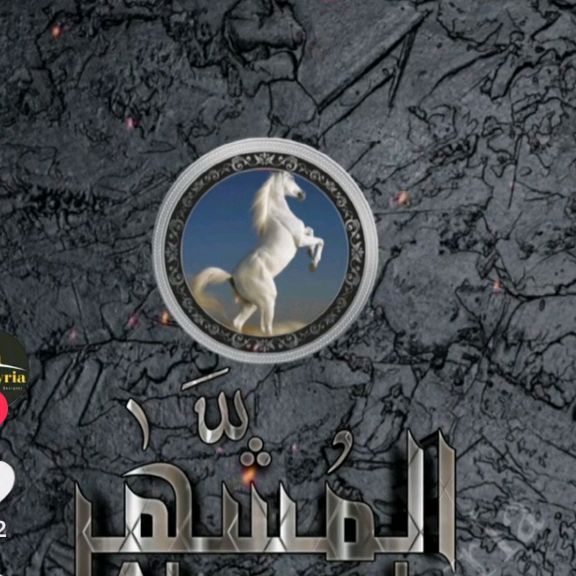 المشهر