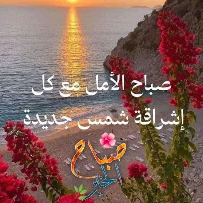 منوعات توك