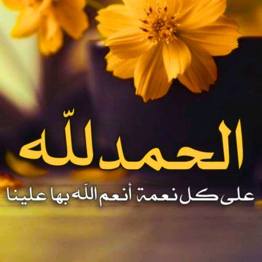 ابو مجدي