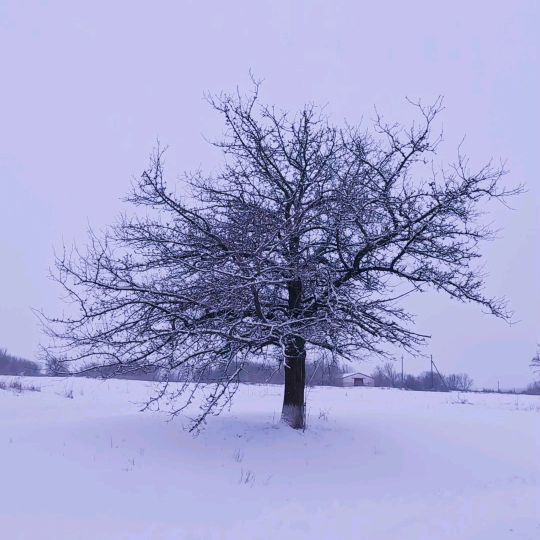 molfar_23