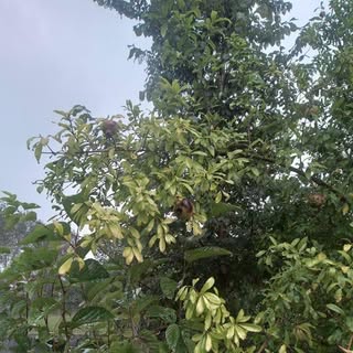 تبلیغات پر بازده دایرکت ✌️💙