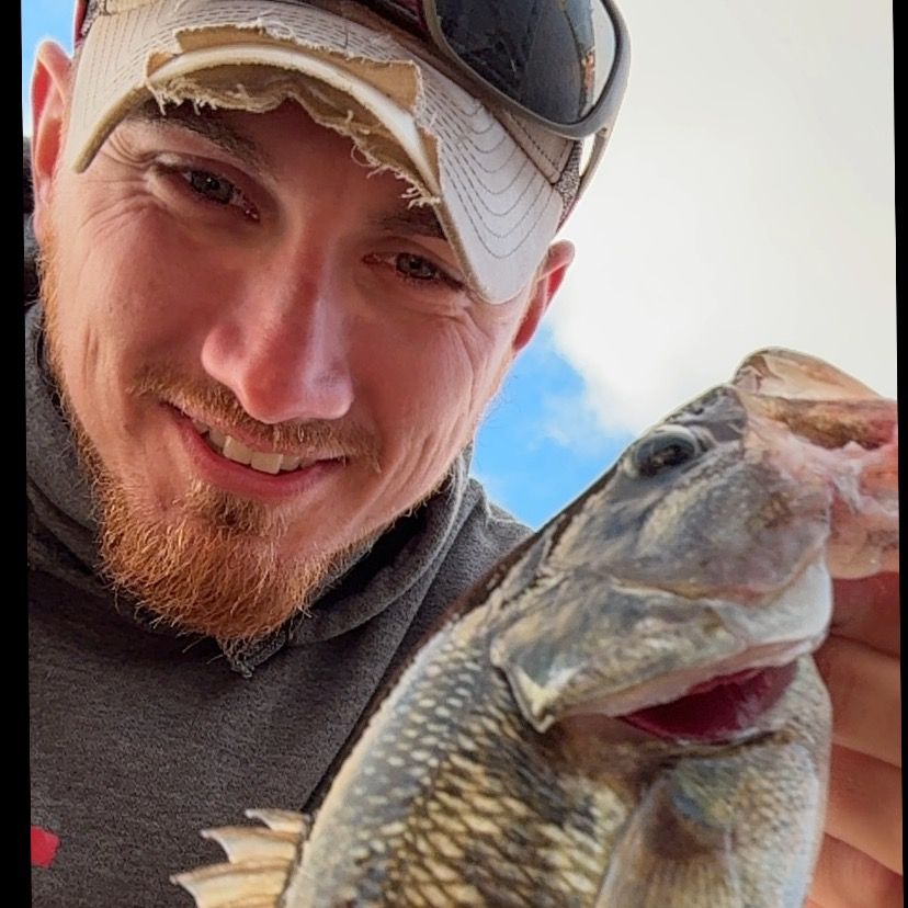 MoTivatedFishing