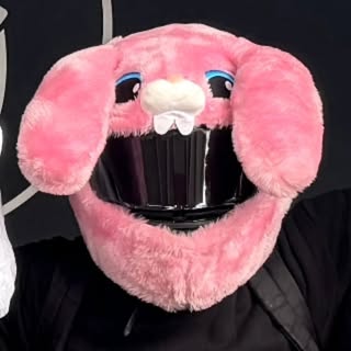 motor bunny