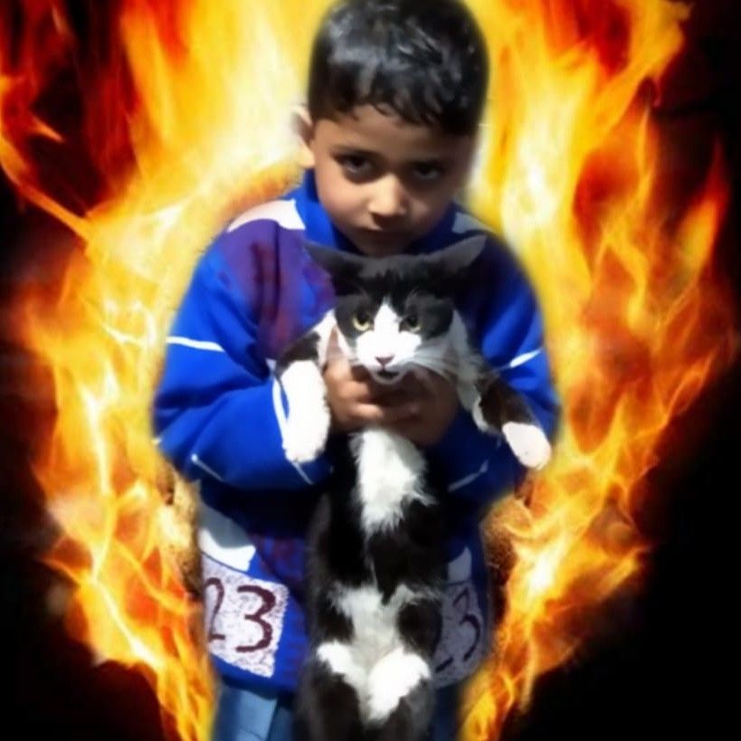 mr.aksam