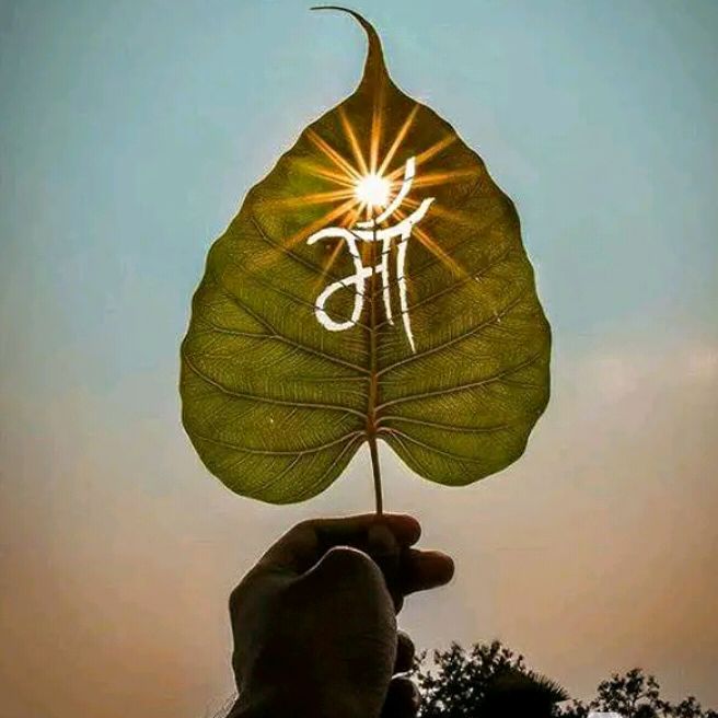 rahul kushwah