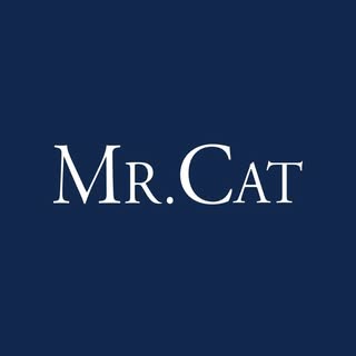 Mr. Cat