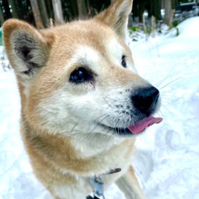 ムーコ