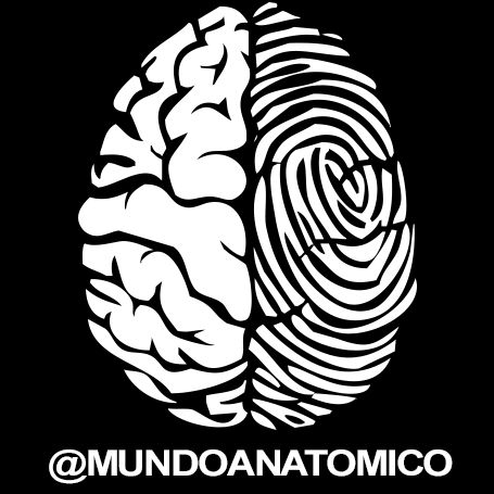 Mundoanatomico 🧠