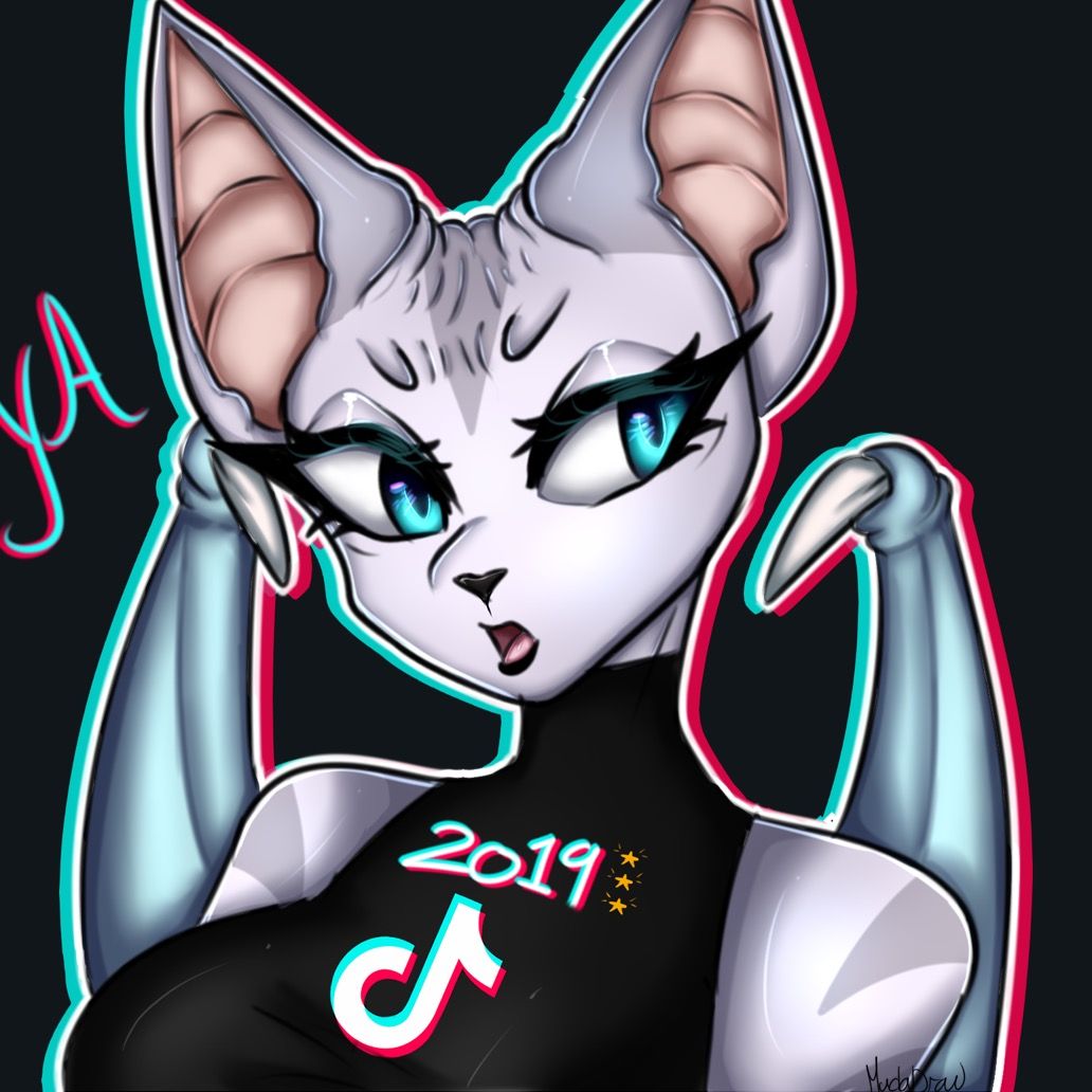 MyaTheBatCat