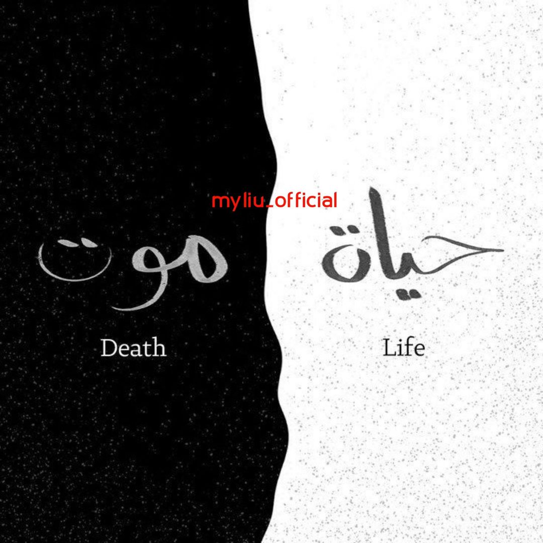 Myliu_official
