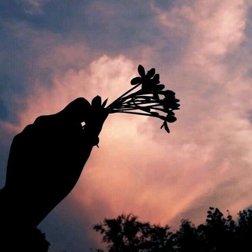 TTT N-G-Ố-C🍀🍀🍀