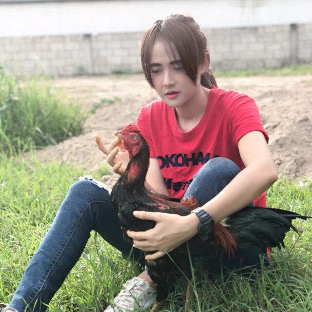 แนน ลำปำ