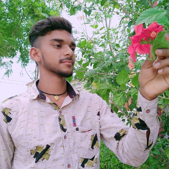 Naresh janghel 1234