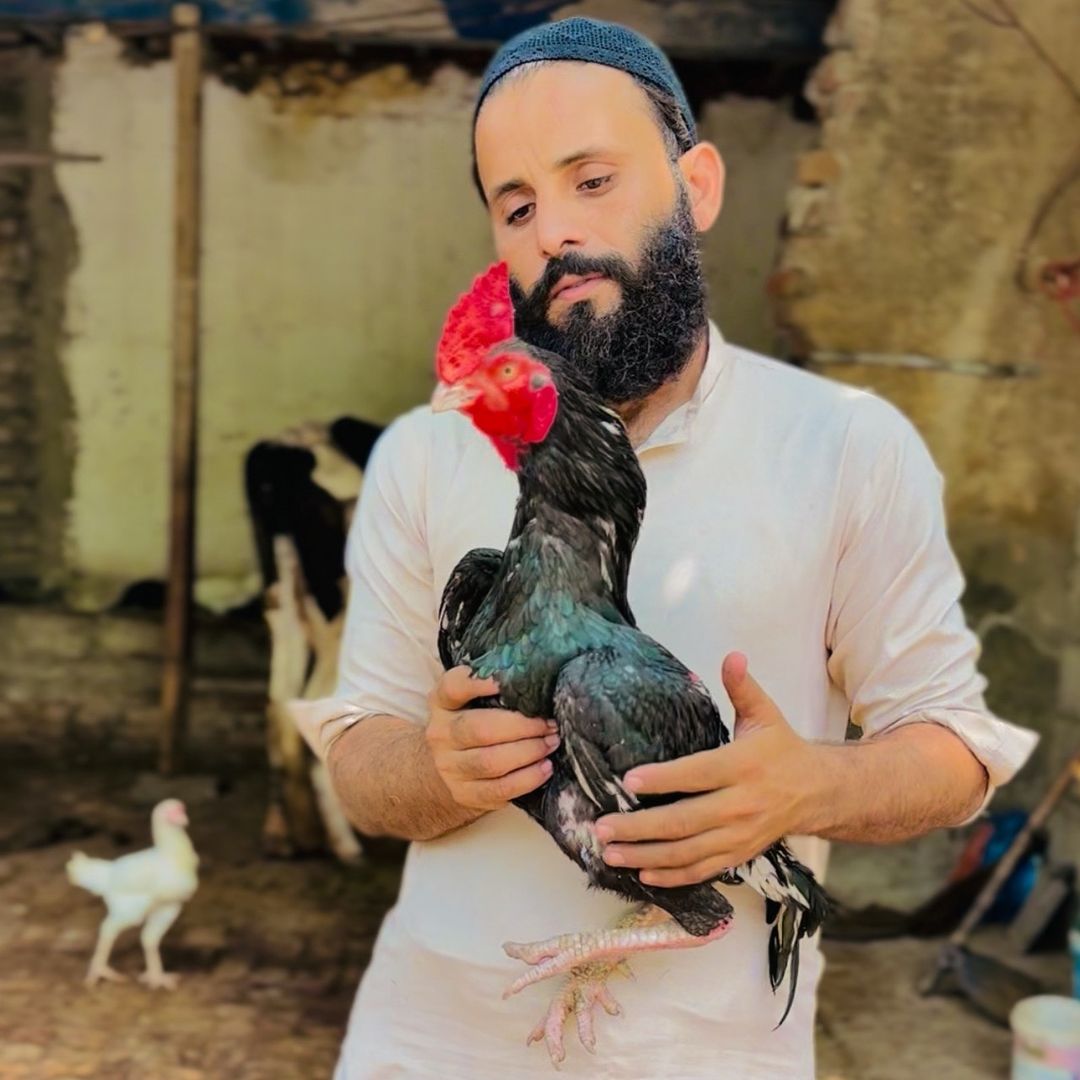 Jamshaid khan