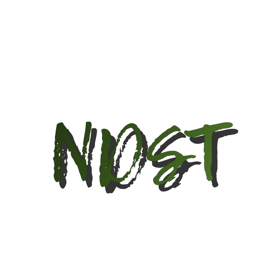 Ndst Llc