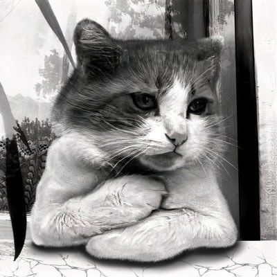猫組長
