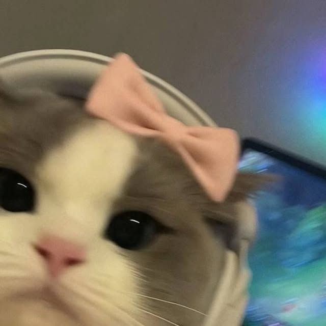 new_yyui