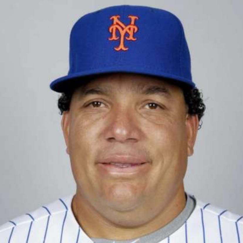 Mr. Met