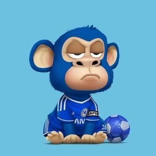 CRYPTO | ALT COINS | NFTS