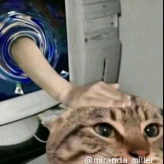 BP