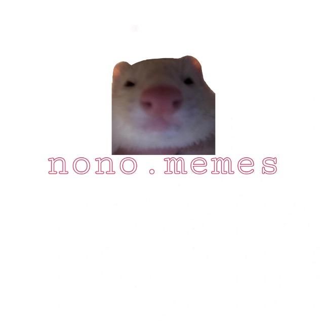 nono.memes