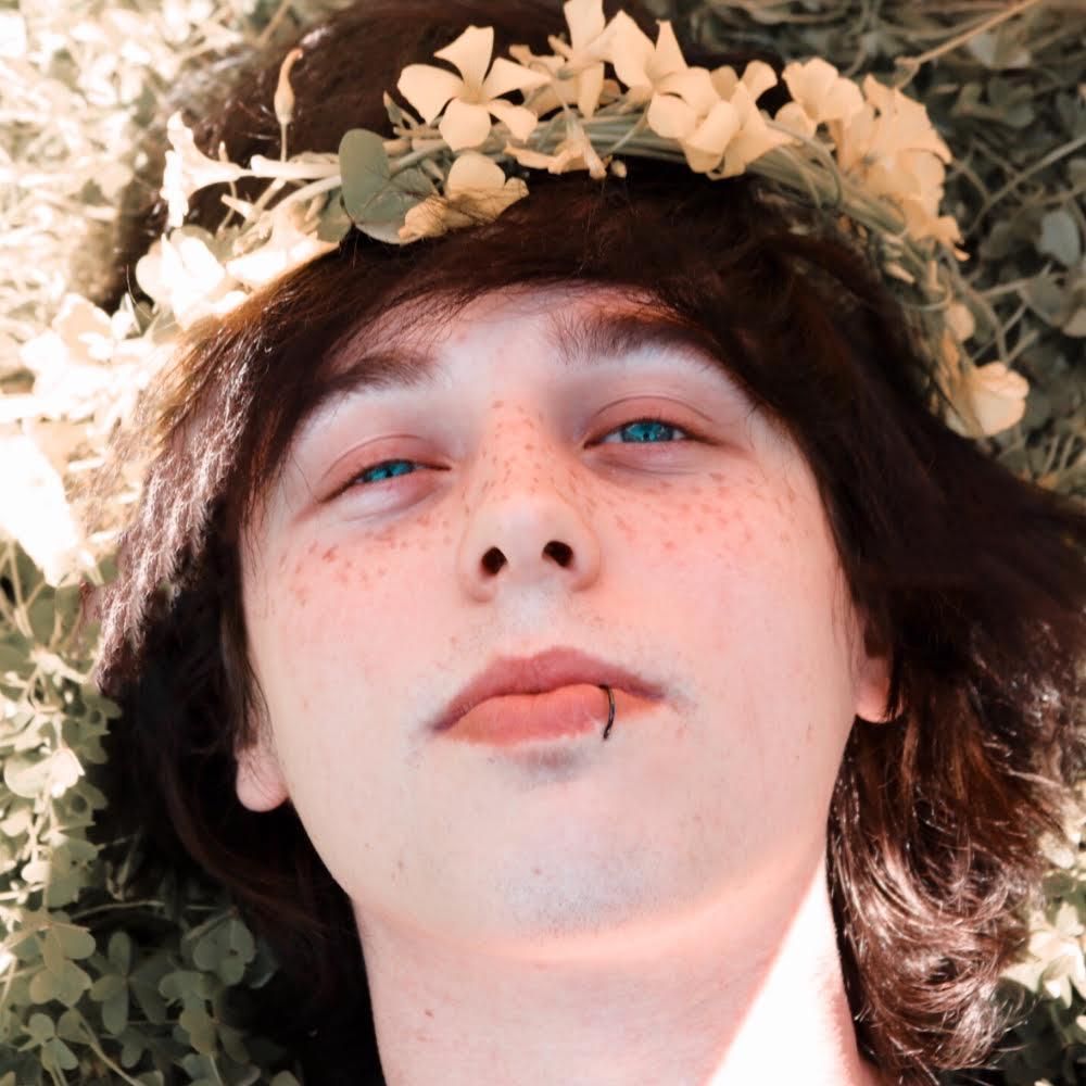 finn